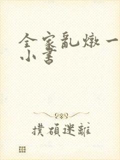 全家乱炖一锅烩小书