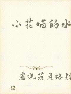 小花喵的水蜜桃