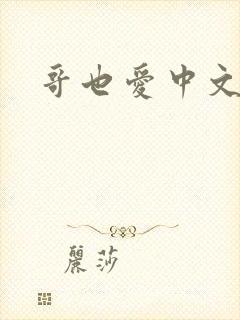 哥也爱中文