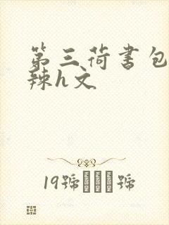 第三荷书包网高辣h文