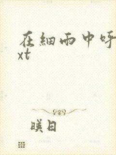 在细雨中呼喊txt
