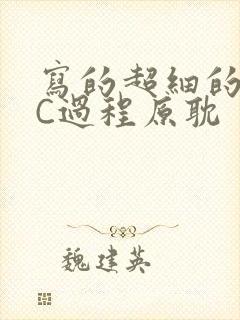 写的超细的多肉C过程原耽