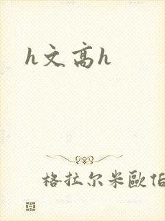 h文高h