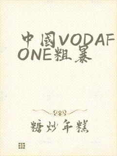 中国VODAFONE粗暴