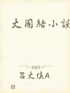 大团结小说阅读