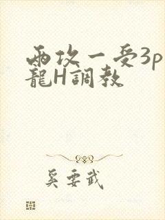 两攻一受3p双龙H调教