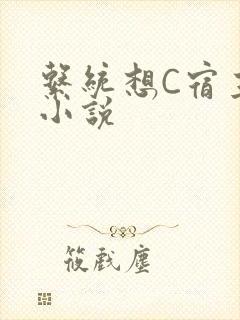 系统想C宿主的小说