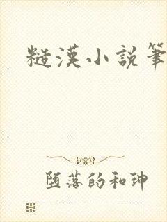 糙汉小说笔趣阁