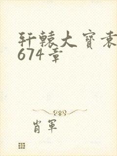 轩辕大宝袁雪妃674章