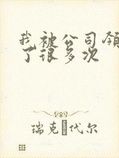 我被公司领导C了很多次