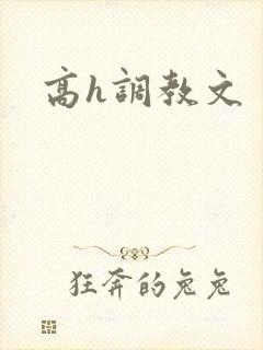 高h调教文