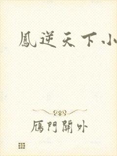 凤逆天下小说