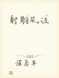 射雕风流