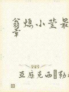 翁熄小莹最新节章