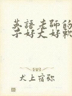 英语老师的小兔子好大好软水