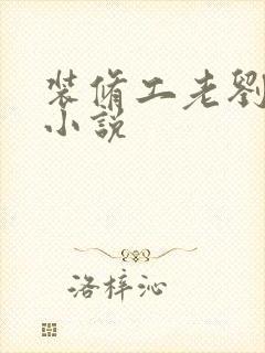 装修工老刘林雪小说