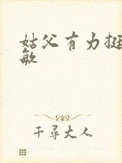 姑父有力挺送赵敏