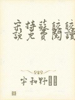 宋持苏皎皎的小说免费阅读