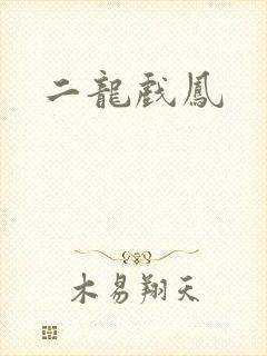 二龙戏凤