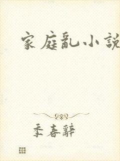 家庭乱小说