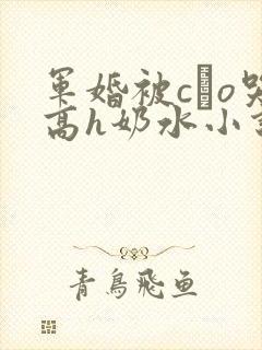 军婚被cαo哭高h奶水小说