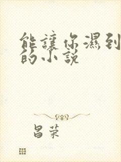 能让你湿到不行的小说