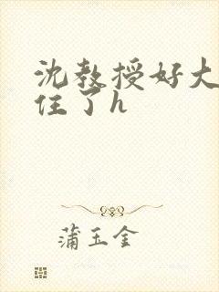 沈教授好大含不住了h