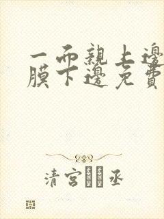 一面亲上边一面膜下边免费阅读