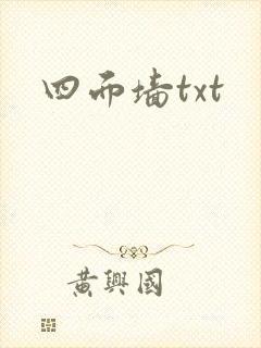 四面墙txt