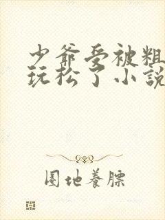 少爷受被粗汉H玩松了小说