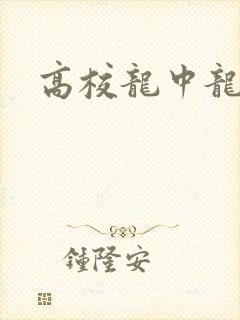 高校龙中龙