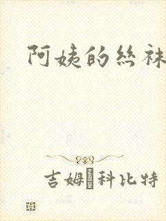 阿姨的丝袜小说