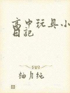 高中玩具小诗的日记