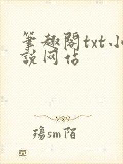 笔趣阁txt小说网站