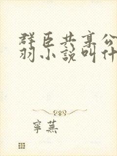 群臣共享公主银羽小说叫什么