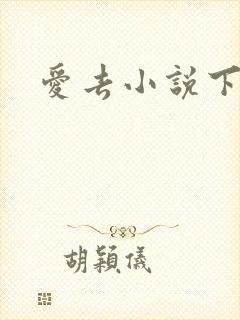 爱去小说下载网