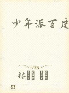 少年派百度百科