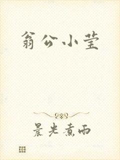 翁公小莹