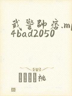 武警帅痞.mp4bad2050