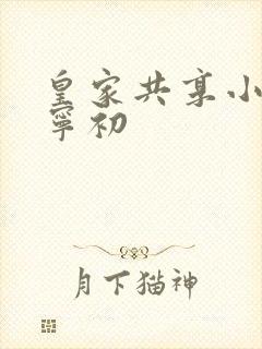 皇家共享小公主宁初