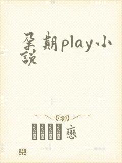 孕期play小说
