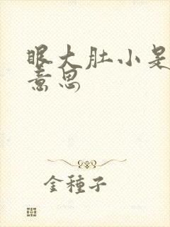 眼大肚小是什么意思