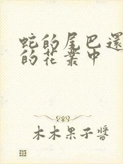 蛇的尾巴还在我的花丛中