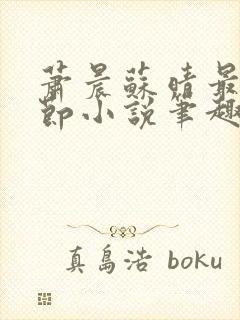 萧晨苏晴最新章节小说笔趣阁