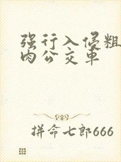 强行入侵粗暴h肉公交车