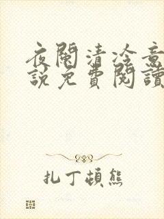 夜阑清冷意欢小说免费阅读