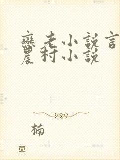 恋老小说言情网农村小说