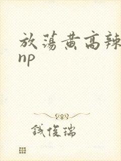 放荡黄高辣h文np