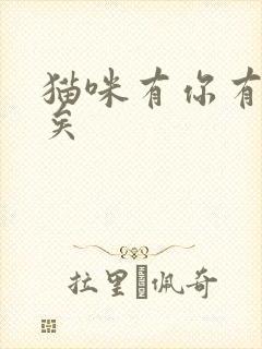 猫咪有你有我足矣