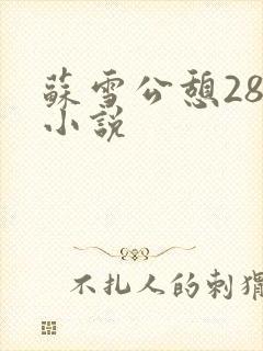 苏雪公憩28篇小说